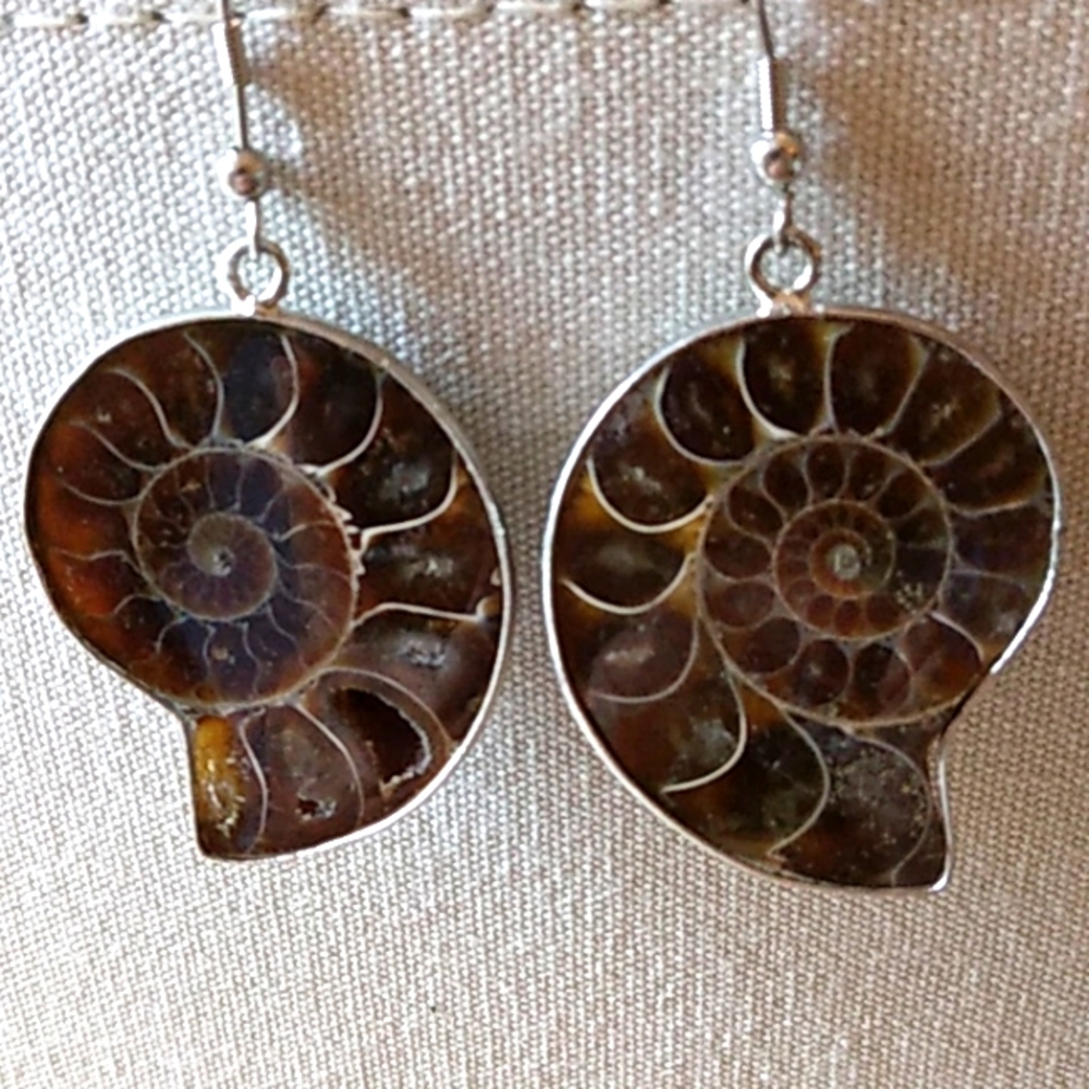 NATURAL AMMONITE SHELL FOSSIL EARRINGS